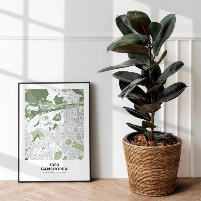 Poster avec la carte déco de la commune de Ganshoren.
