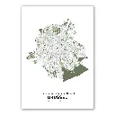 region-de-bruxelles-capitale-nl-poster-carte-plan-1.webp